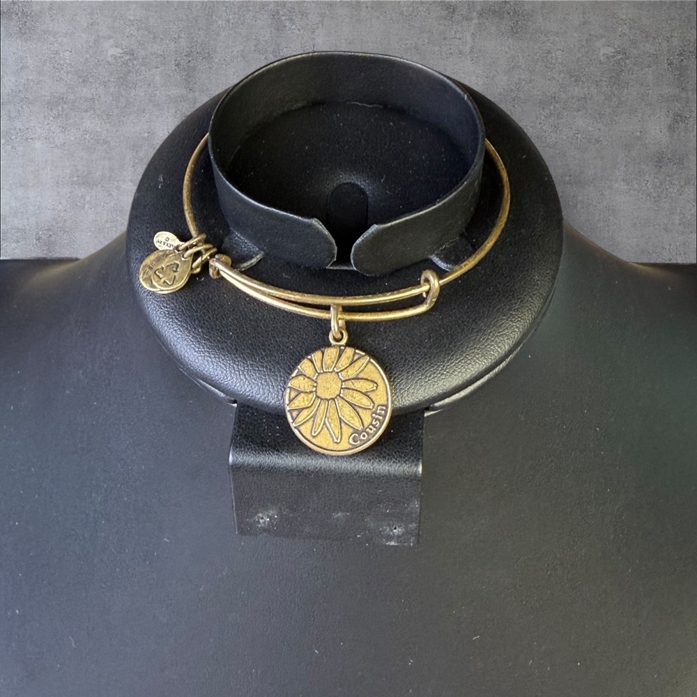 195. Alex and Ani‎ Cousins Charm Bracelet Black Enamel Bangle 2013